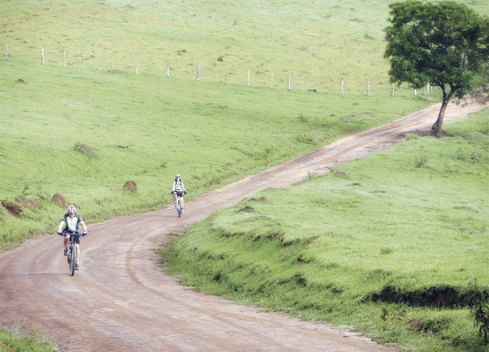 Escolhendo Seu Companheiro: Bicicleta ou Pé, Qual Te Chama Mais? - inspiração 2