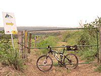 A Comunidade no Caminho: Conexões Que Fortalecem a Alma - inspiração 2