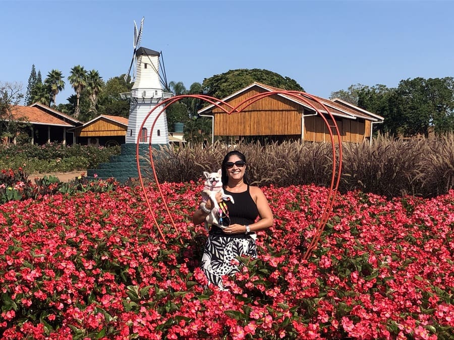 Melhor Época do Ano para Visitar: Descubra o Auge da Florada - inspiração 2