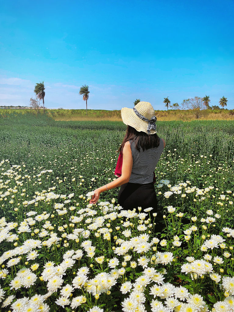 Fotografia nos Campos: Dicas para Capturar a Magia das Flores - inspiração 2