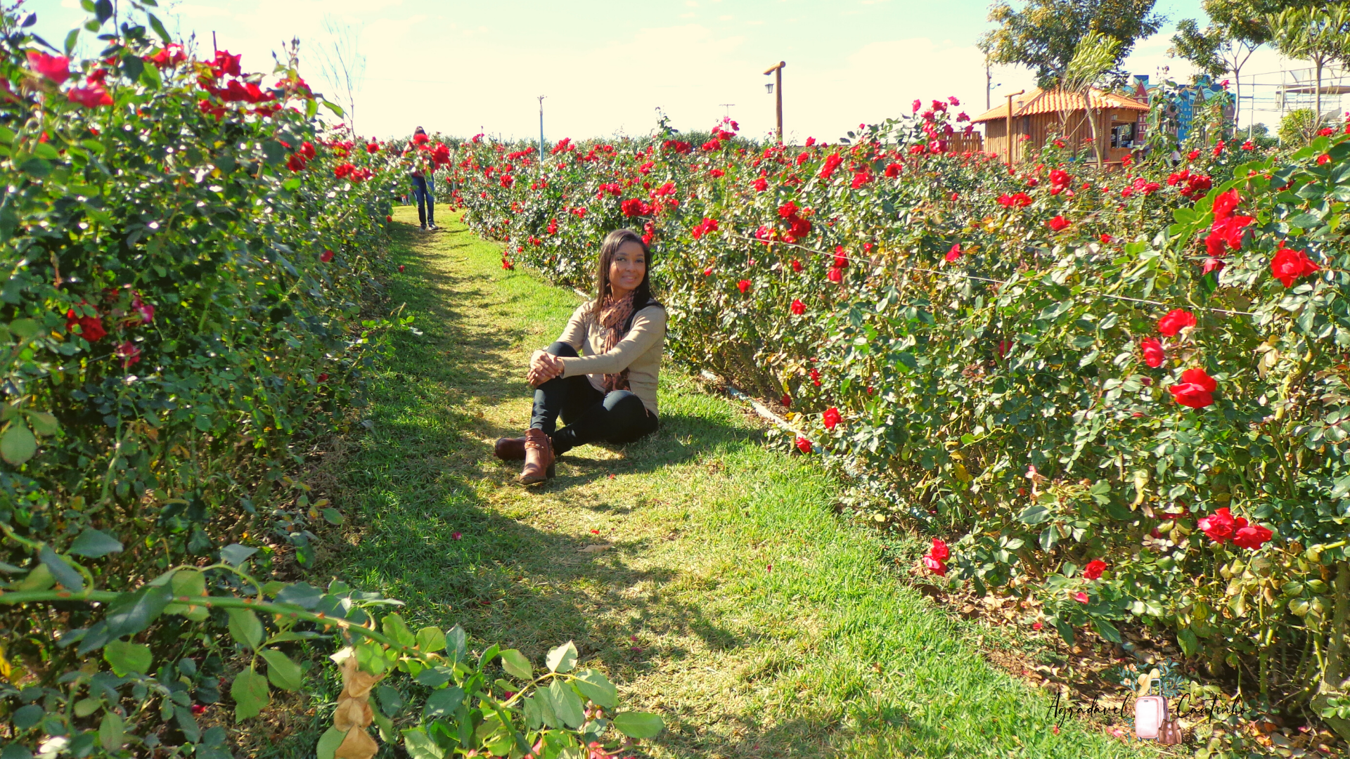 Onde Ficar: Opções de Hospedagem para Todos os Bolsos - inspiração 2
