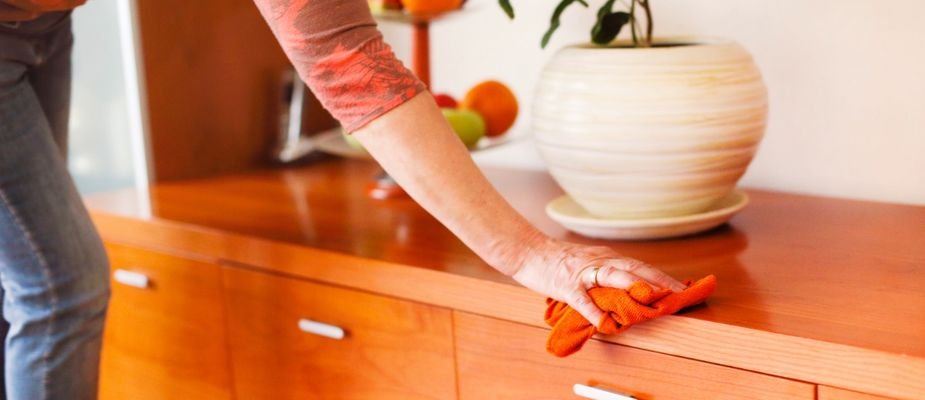 Limpeza Diária: Simples e Essencial para o Dia a Dia - inspiração 2