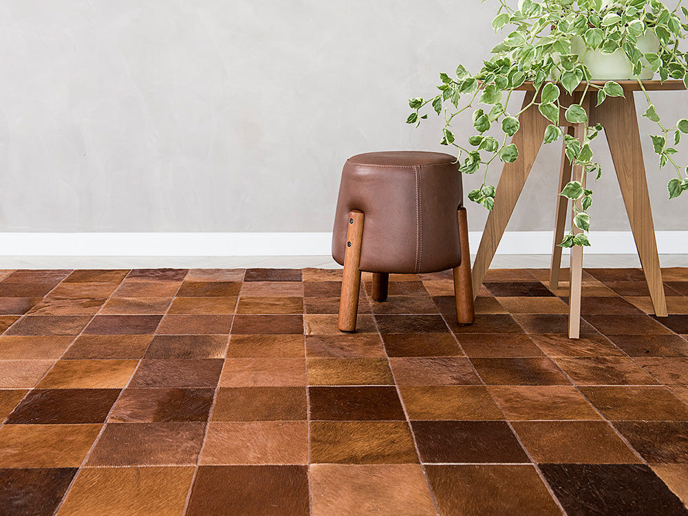 Limpeza Diária: O Segredo para um Tapete Sempre Novo - inspiração 1