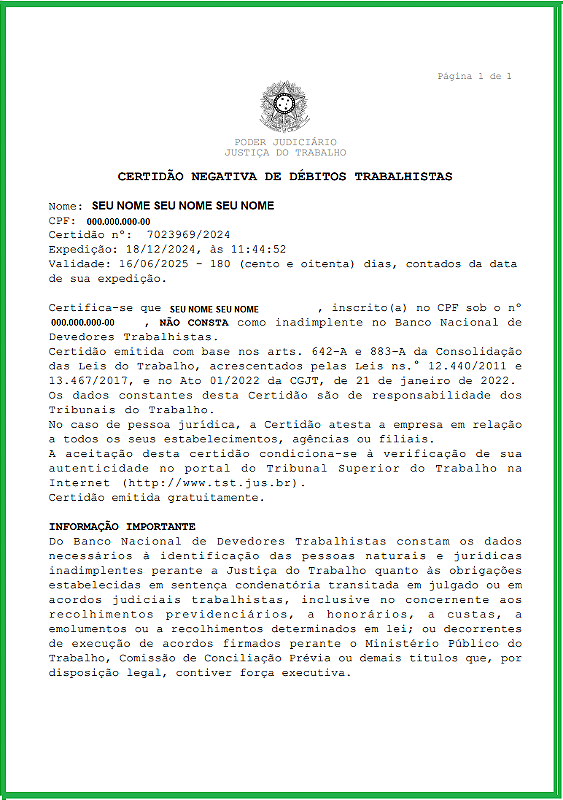 Verificando Seus Dados: A Base para uma Emissão Tranquila - inspiração 1