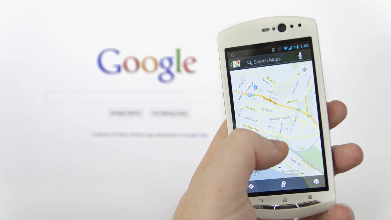 O cachorro ou gato pode ser seu aliado. - inspiração 2