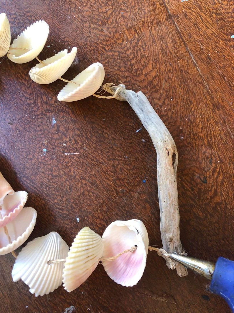 Técnicas de Amarrar: Conectando as Conchas com Segurança - inspiração 2