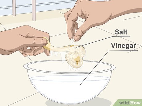 Quando Chamar o Profissional: Reconhecendo Seus Limites - inspiração 2