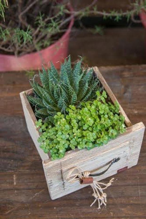 Etiquetagem Inteligente: O Toque Final da Clareza - inspiração 2