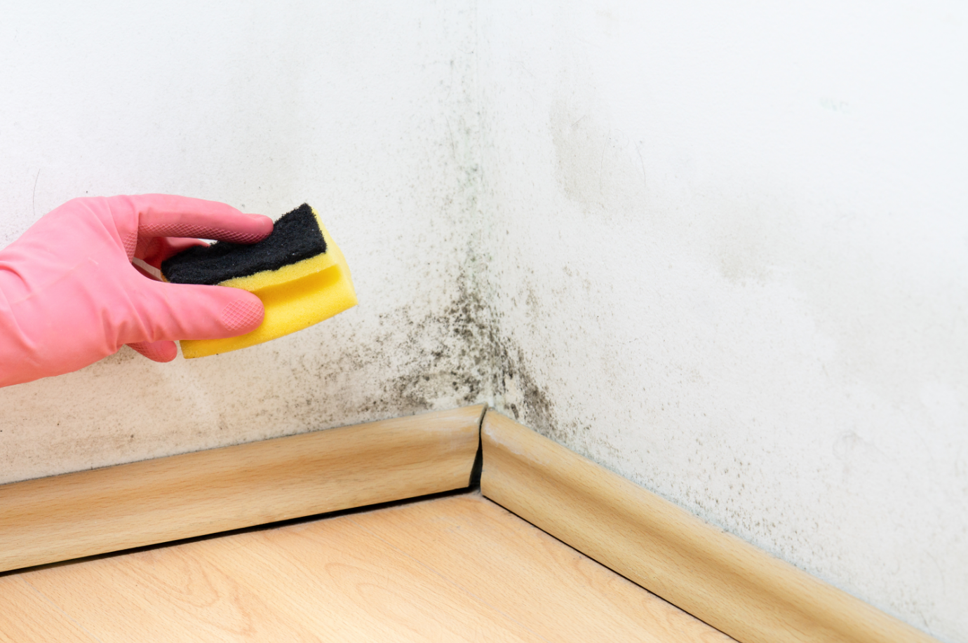 Atenção aos Materiais: Protegendo Suas Preciosas Memórias Fotográficas - inspiração 1