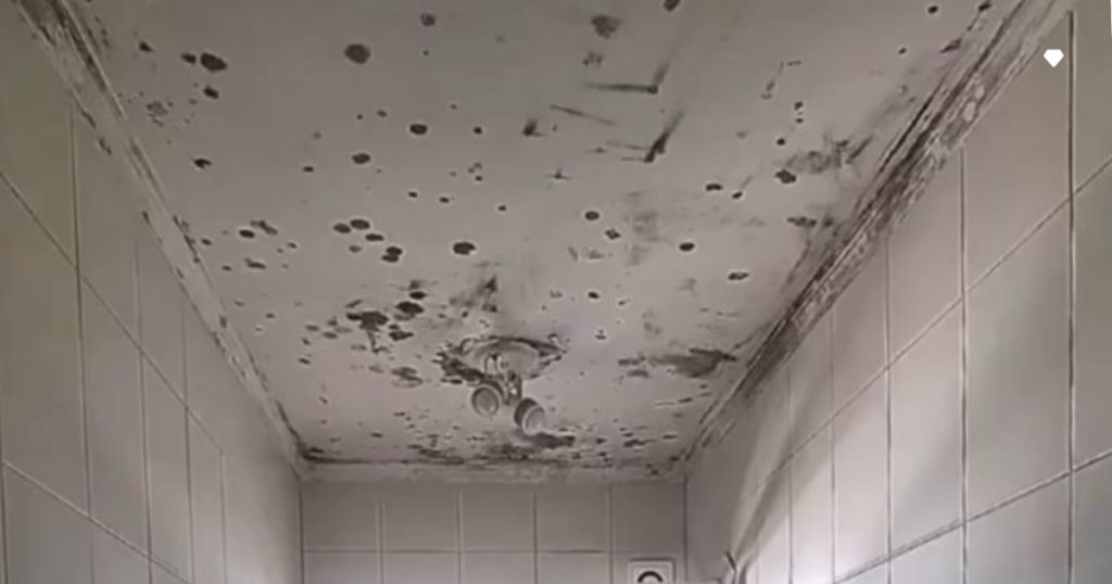 Secagem Adequada: Evitando Novos Problemas de Umidade - inspiração 1