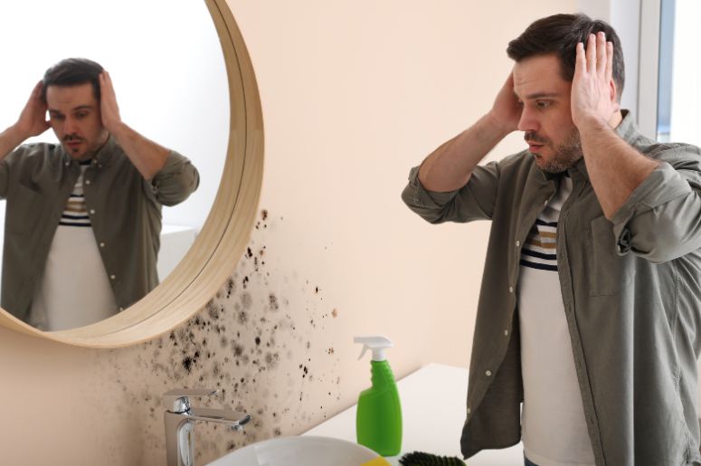 Prevenção é a Chave: Guardando Suas Fotos Corretamente - inspiração 2