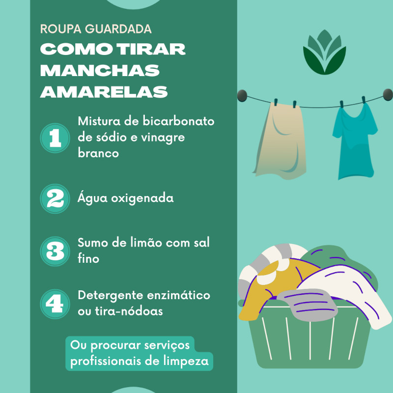 Sabão de Coco: A Tradicional Forma de Cuidado Têxtil - inspiração 1