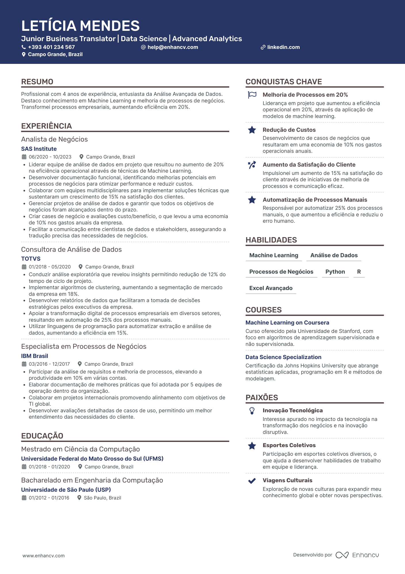 Habilidades Técnicas e Linguísticas: Mostre Seu Arsenal de Competências - inspiração 2