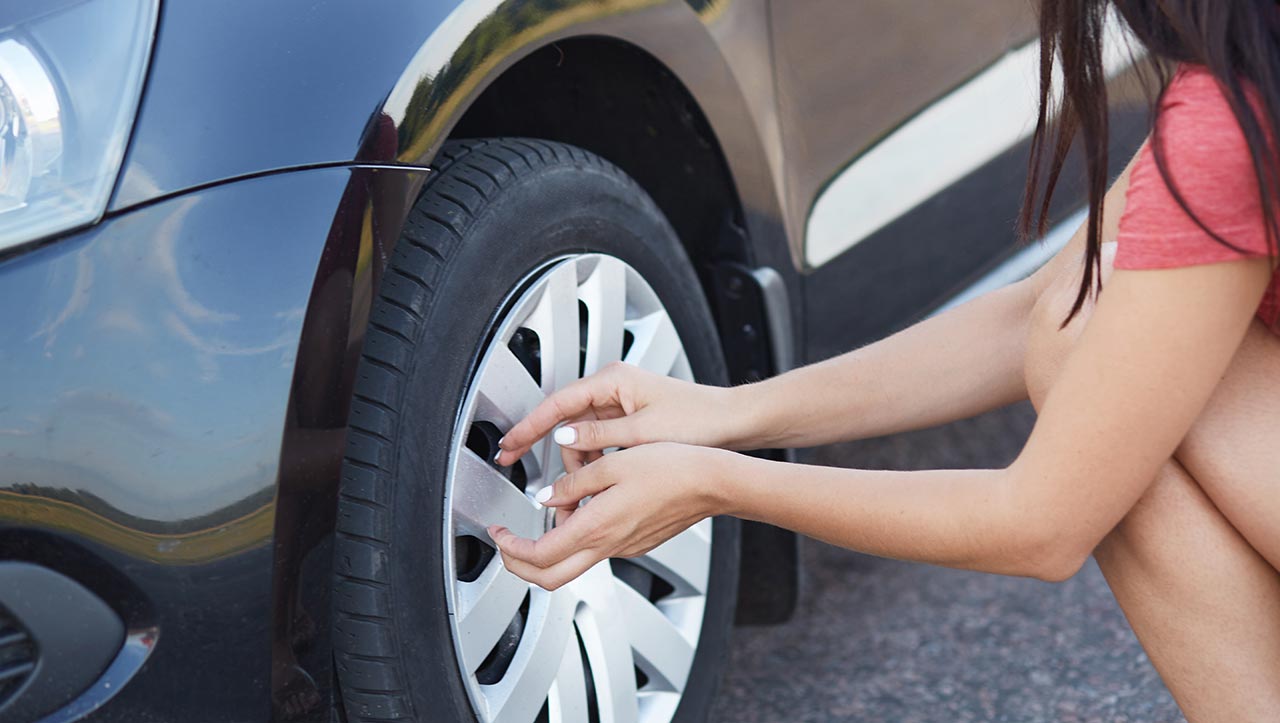 Funcionalidade Além da Aparência: Proteção e Praticidade - inspiração 1