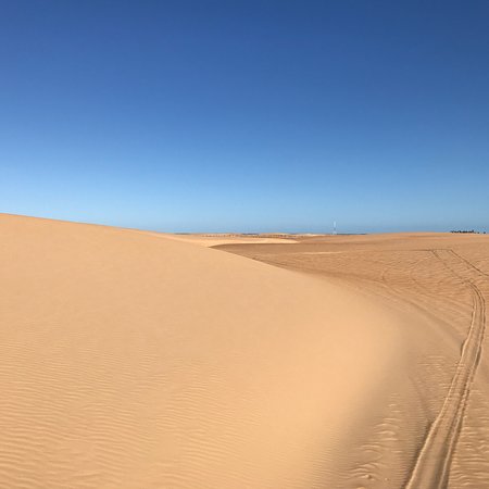 A Surpreendente Fauna e Flora do Local - inspiração 1