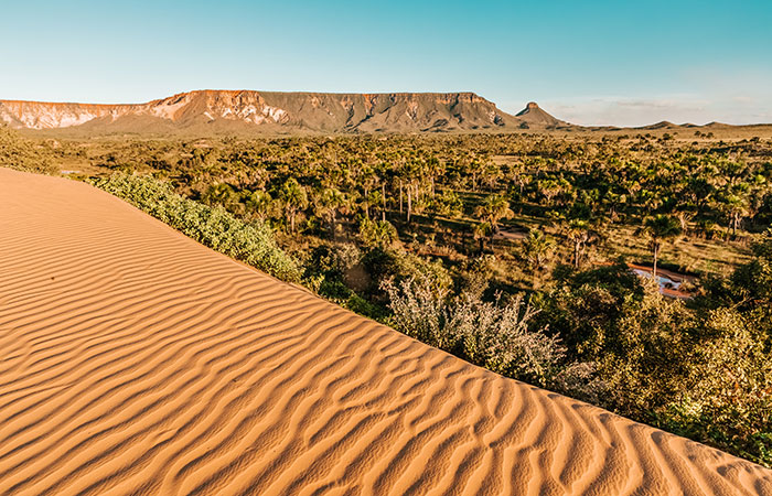 Gastronomia Local: Sabores para Experimentar Perto das Dunas - inspiração 2