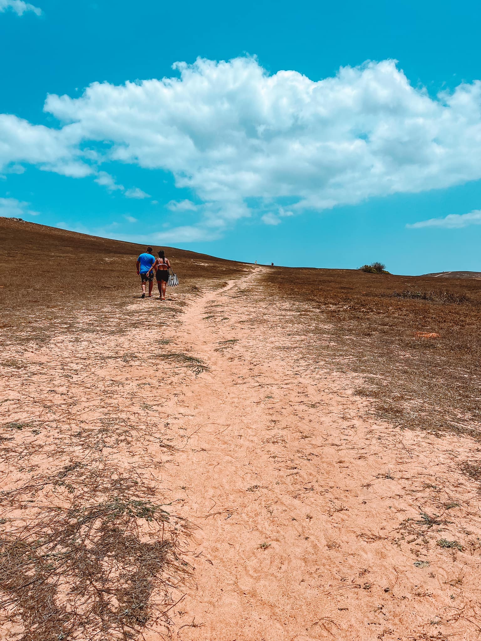 A Fauna e Flora do Litoral Cearense: O Que Esperar Durante a Caminhada - inspiração 1