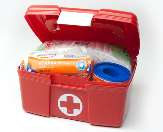 Situações Específicas: Picadas e Reações Alérgicas - inspiração 1