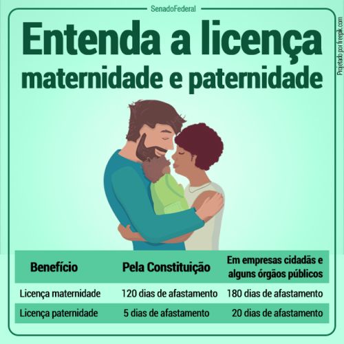 Entendendo a Licença Maternidade: 120 Dias para Cuidar e Amar - inspiração 2