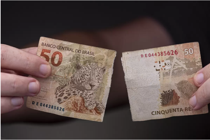 Prepare Material Para Composteira Doméstica - inspiração 1