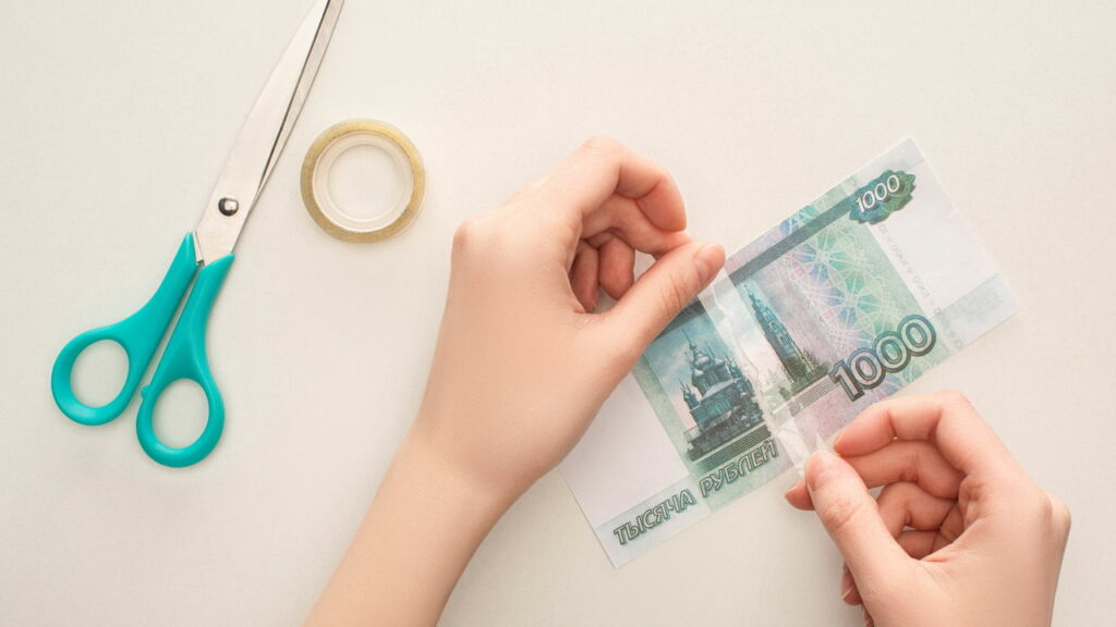 Prepare Material Para Composteira Doméstica - inspiração 2