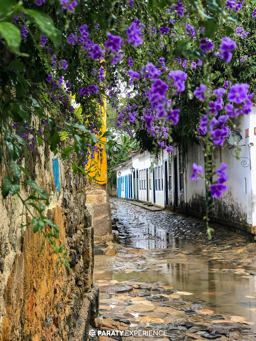 Explore os Museus Históricos e Culturais - inspiração 2