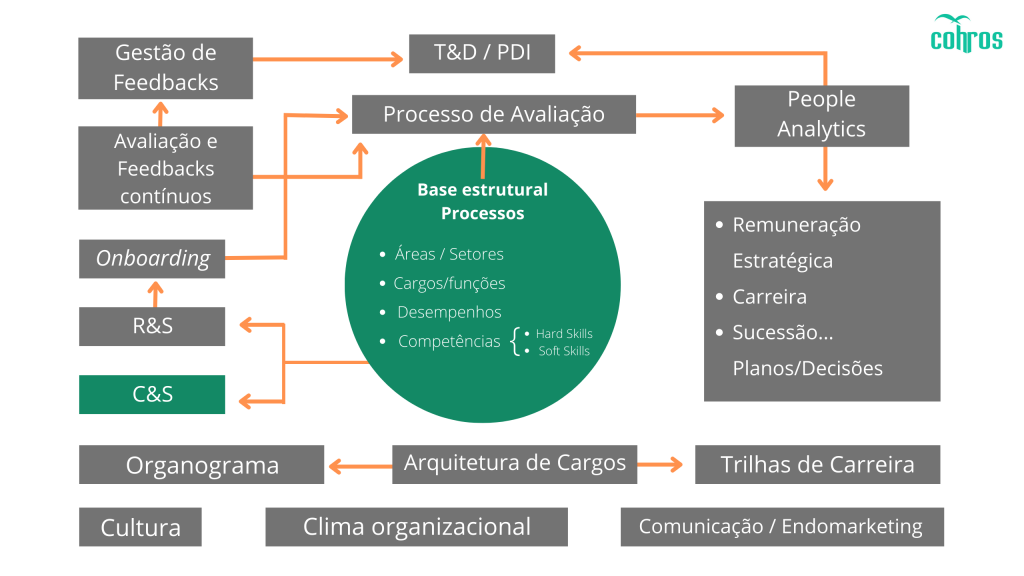 Como o Plano de Cargos e Salários Impulsiona o Seu Desenvolvimento Profissional - inspiração 1
