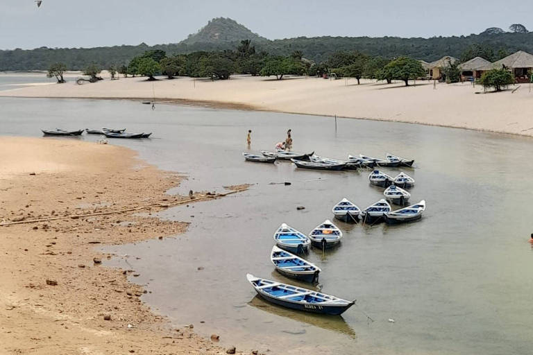 Festival do Sairé: Tradição e Cultura em Alter do Chão