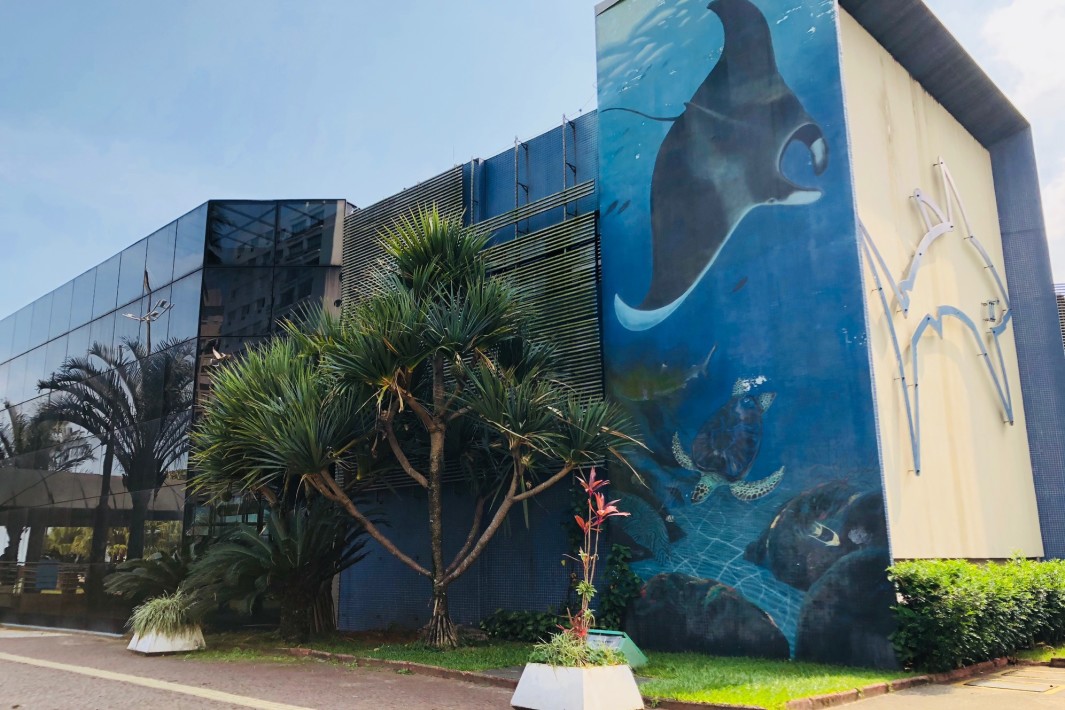 Alternativas de Passeios em Santos Durante a Reforma do Aquário