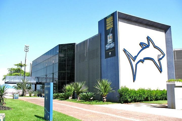 Desvendando a História do Aquário Municipal de Santos: Curiosidades e Impacto
