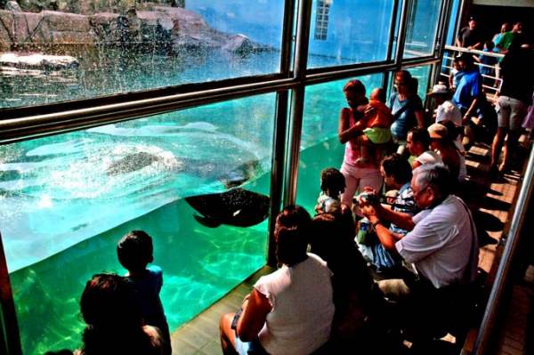 aquario de santos valor ingresso