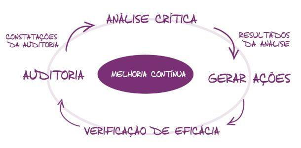 auditoria interna qualidade