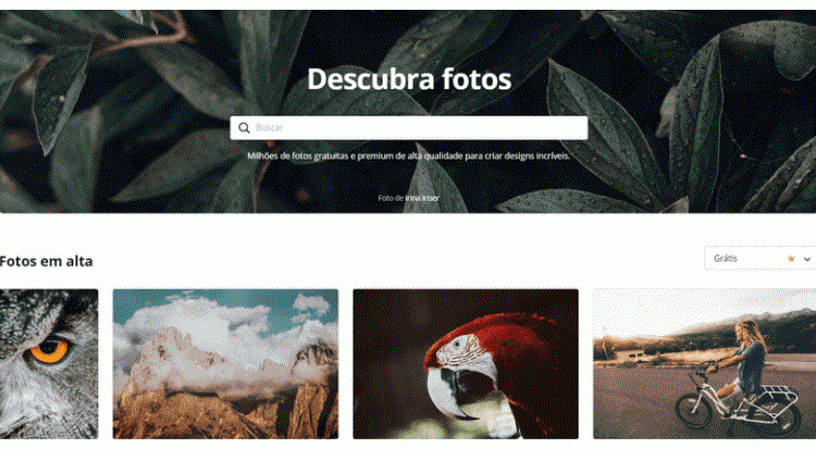 bancos de imagens gratuitos para usar