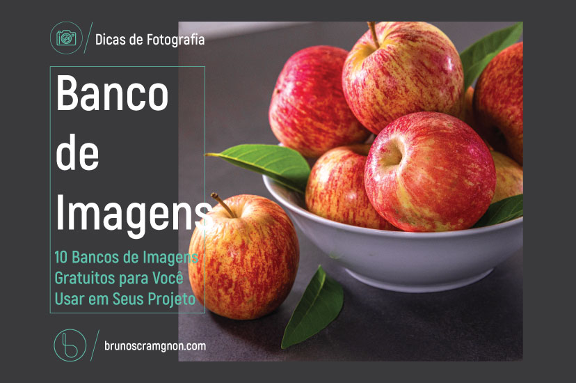 unsplash vs pexels qual o melhor