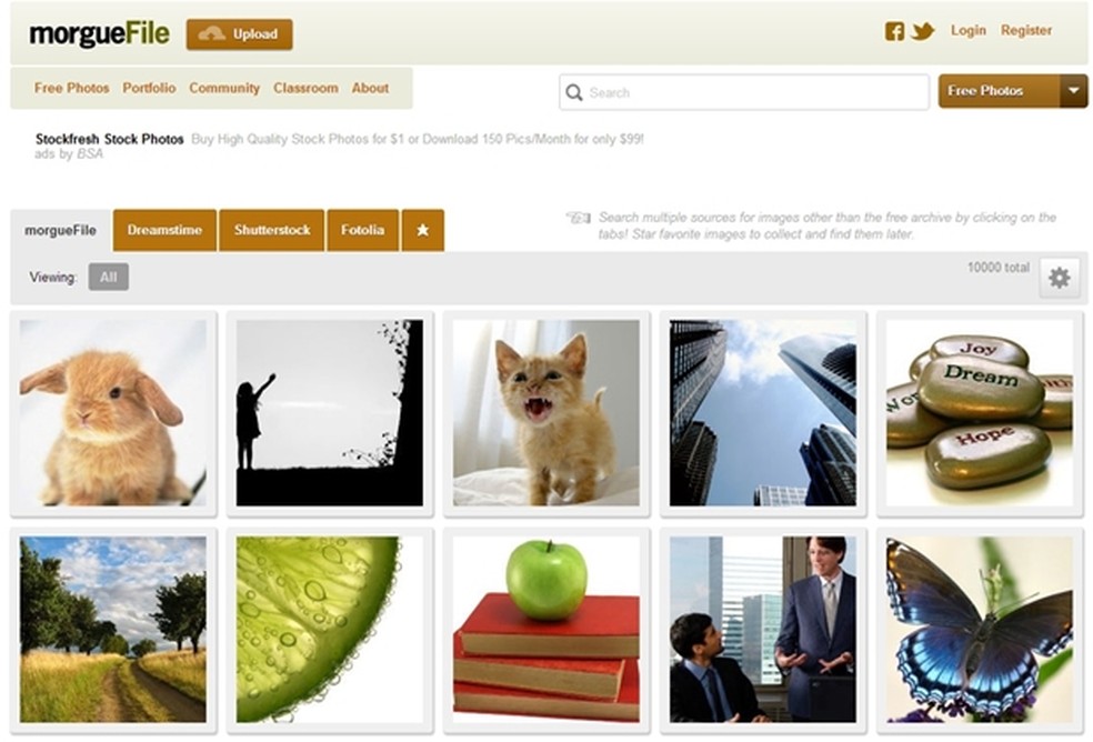 unsplash vs pexels qual o melhor
