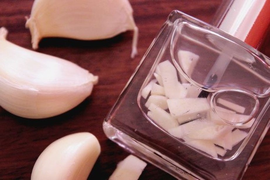 5 ideias de títulos