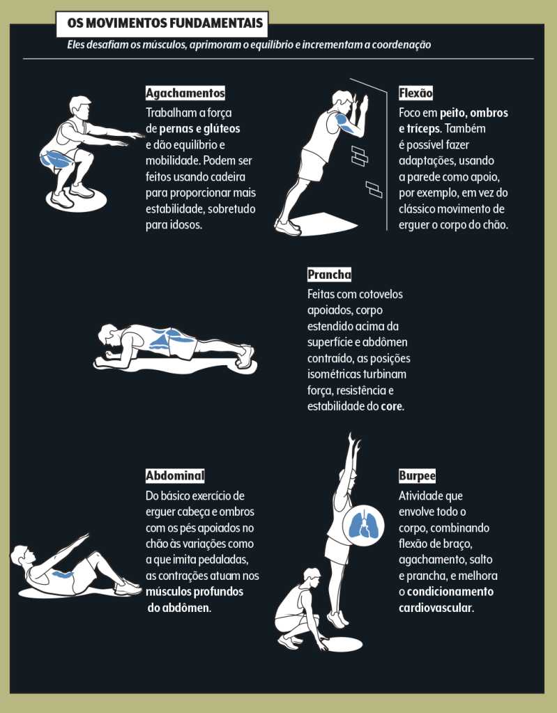 exercícios calistenia