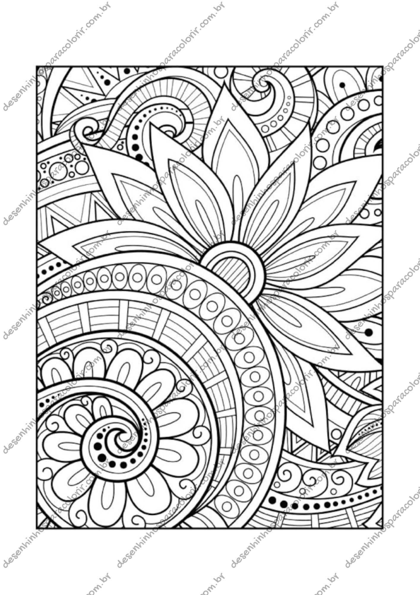 benefícios de desenhar e colorir para adultos