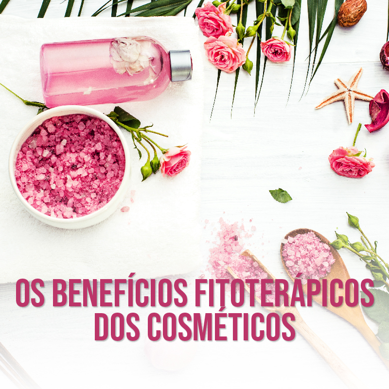 Plantas medicinais para ansiedade: Guia completo para acalmar a mente