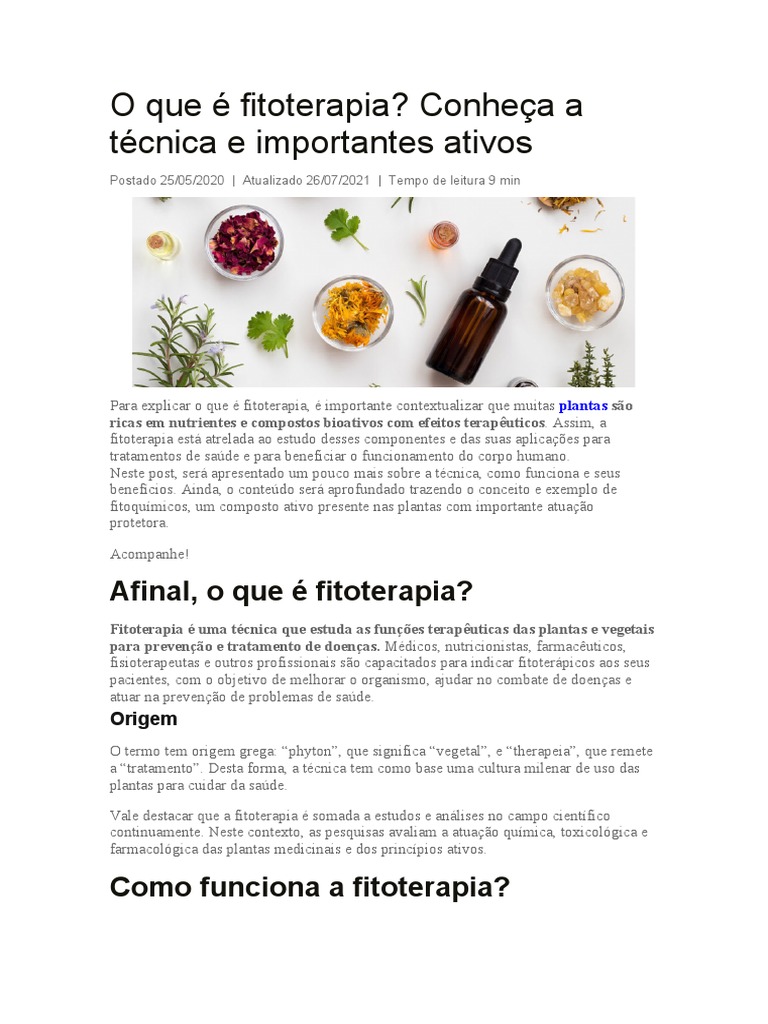 Echinacea e imunidade: Fortaleça seu corpo naturalmente