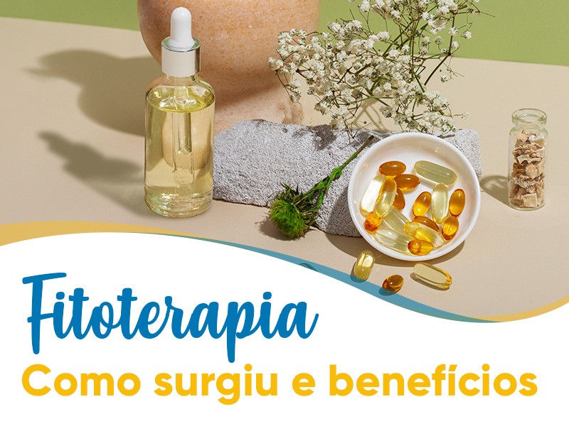 Fitoterápicos para menopausa: Alivie os sintomas com fitoestrogênios