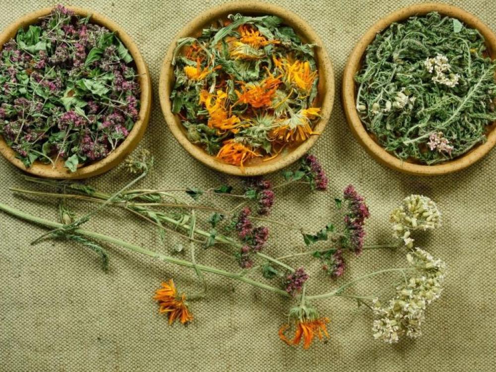 Maracujá e Guaco e seus usos