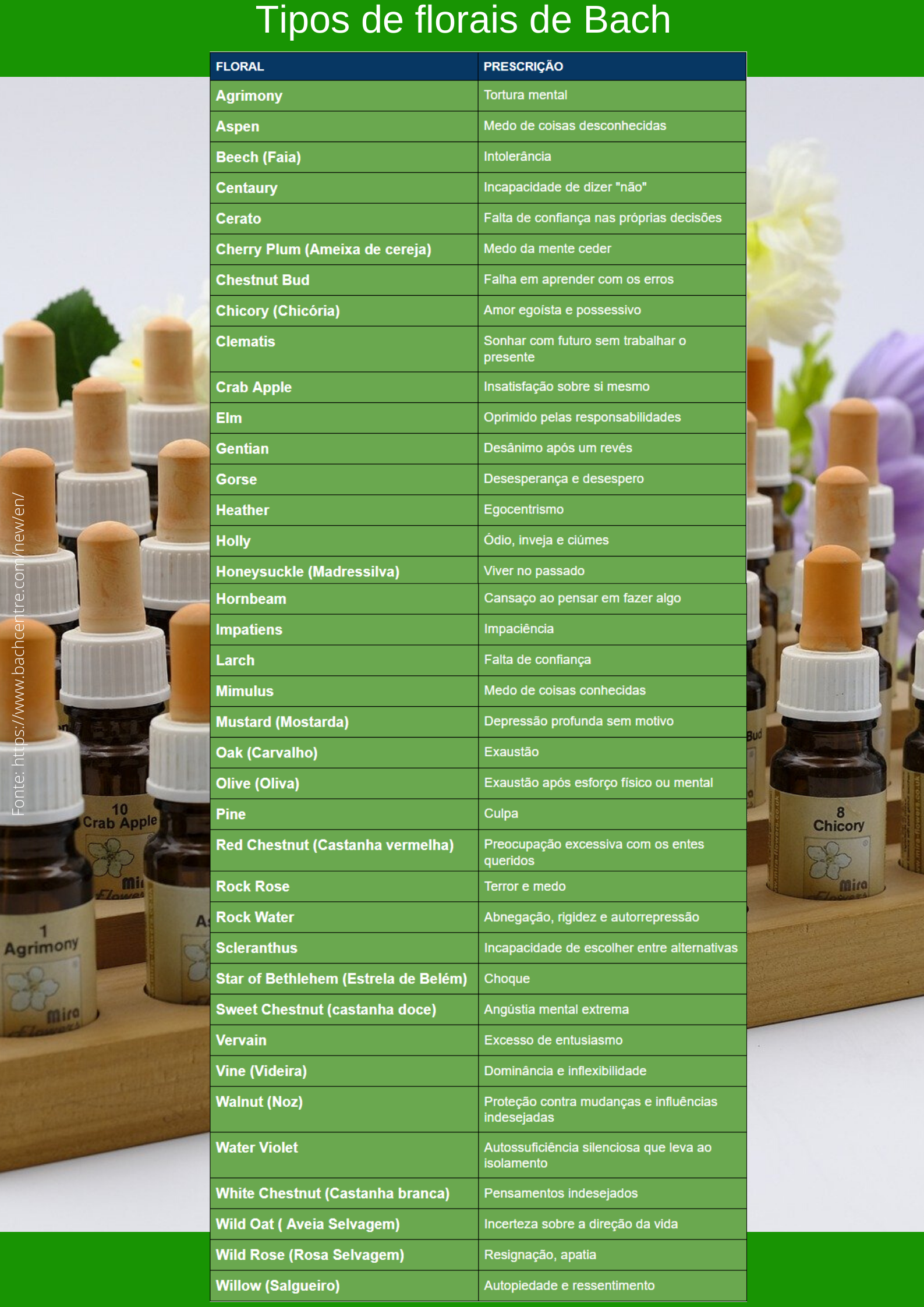 Guia Completo: As 38 Essências Florais de Bach e Seus Usos Específicos