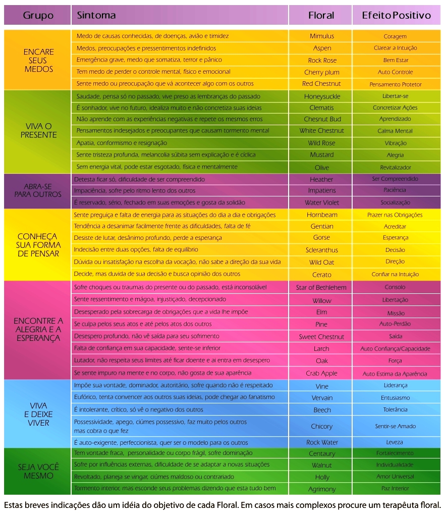 Florais de Bach e a OMS: O Reconhecimento da Medicina Complementar