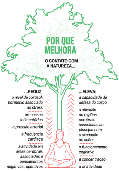 benefícios do contato com a natureza