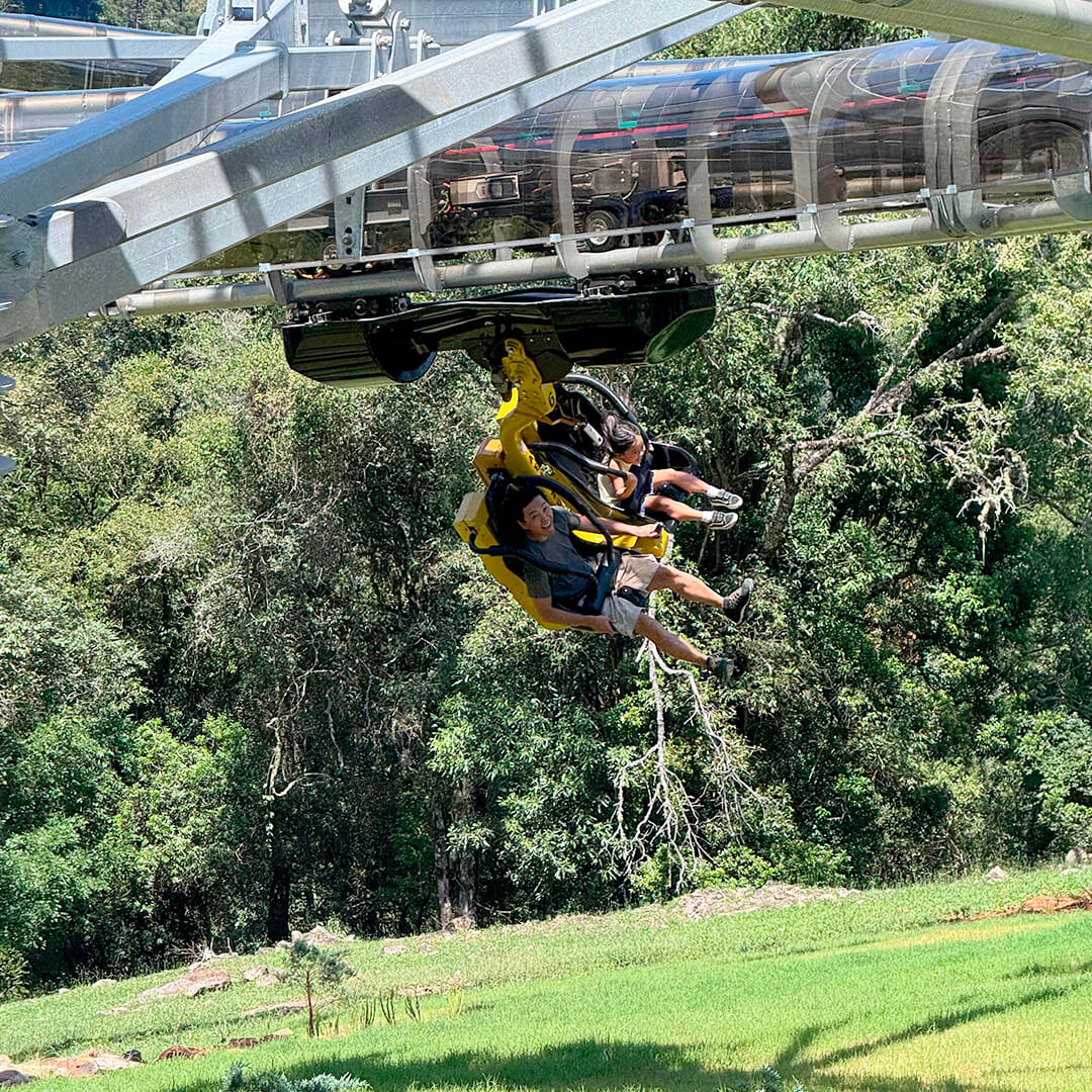erros comuns ao visitar bondinhos aereos canela
