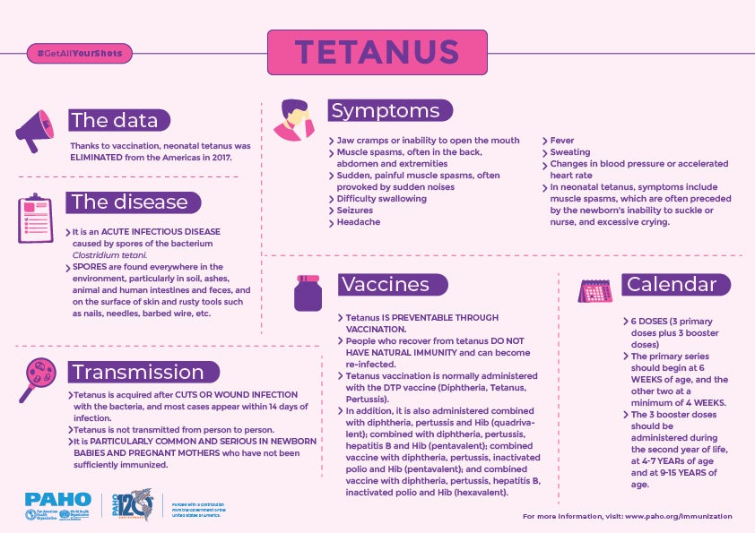 Entenda as Vacinas Essenciais para Gestantes em 2026
