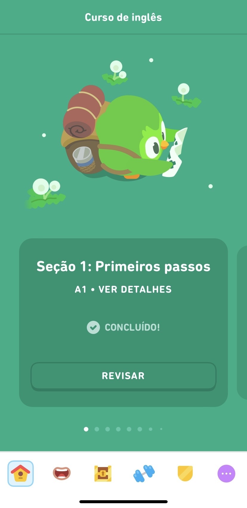 Além do Duolingo: Ferramentas Essenciais para Acelerar Seu Inglês