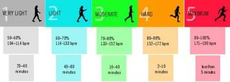 Benefícios do Treino por Zonas de Frequência Cardíaca