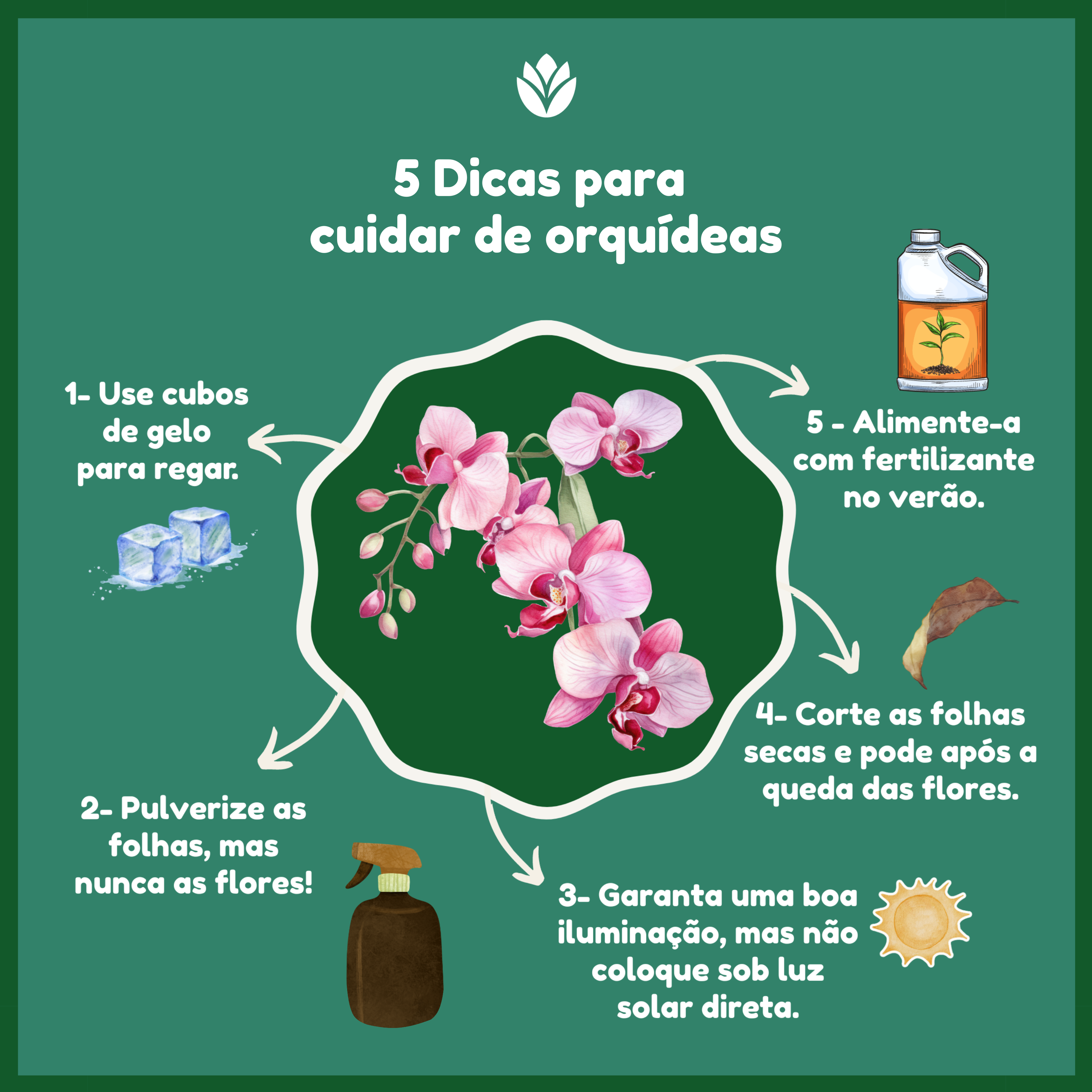 Como Identificar e Tratar Doenças Comuns em Orquídeas